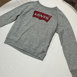 levis grey and red sweater